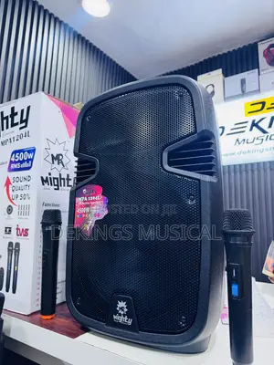 Mr Mighty 12 Inches Rechargeable Pa System Big Batterg