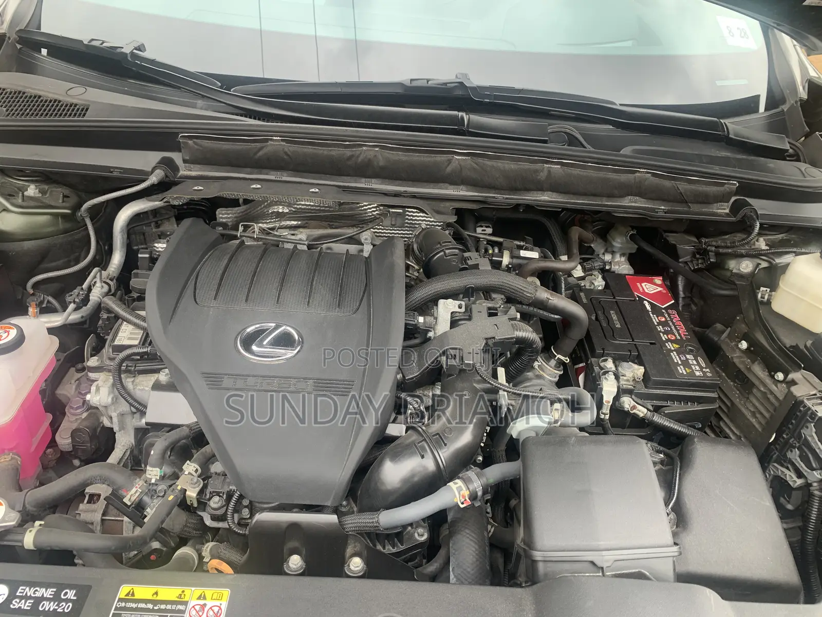 Lexus RX 350 AWD 2023 Green