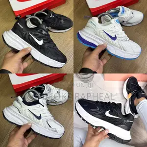 Nike Skate Chunky Retro Sneakers