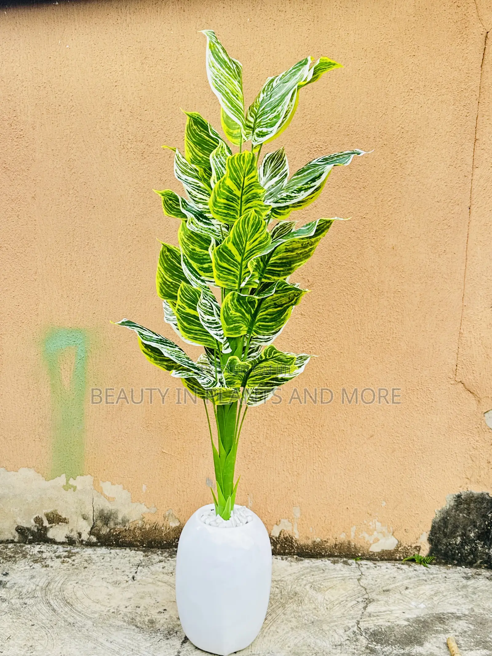 Zebra Tree and Mini Egg Pot Combo