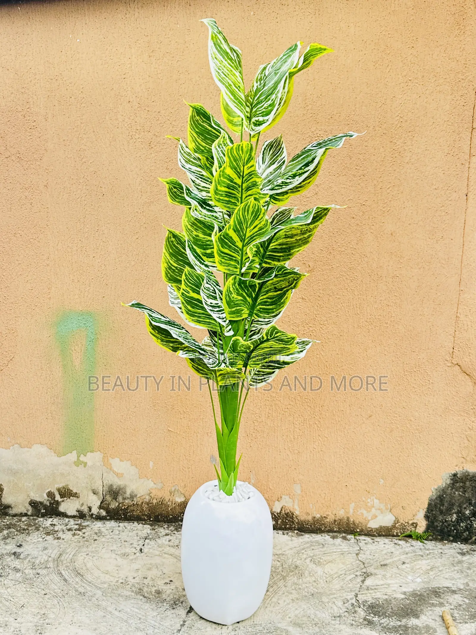 Zebra Tree and Mini Egg Pot Combo