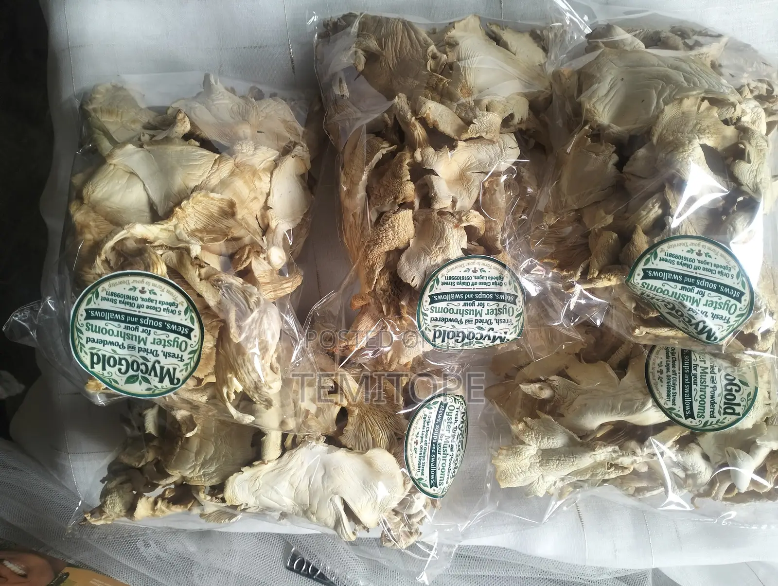 Dried Oyster Mushrooms