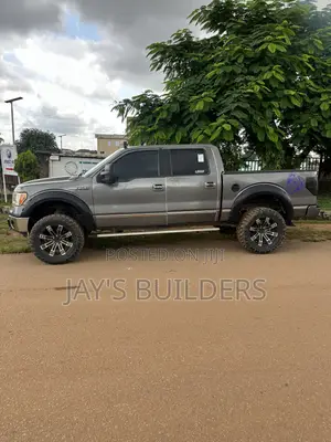 Ford F-150 Platinum 2012 Gray