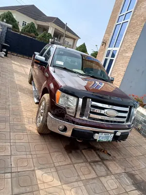 Ford F-150 2010 Burgundy
