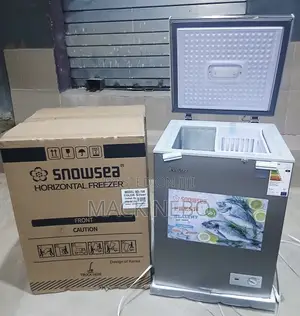 Snowsea Mini Freezer