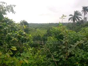 150 Hectares of Land