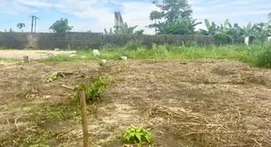 3 Plots of Land