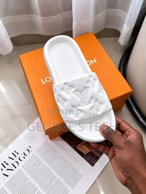 Slides Louis V