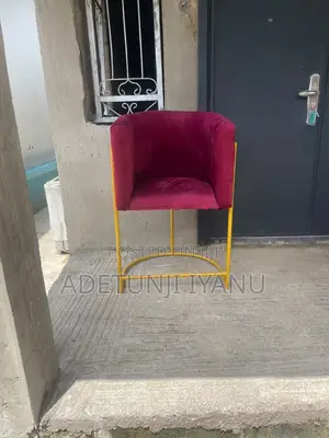 Salon Chair