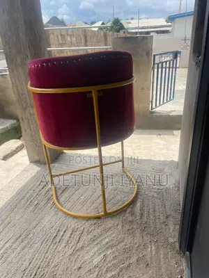 Salon Chair