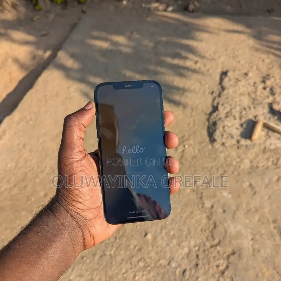 Apple iPhone 12 Pro Max 512 GB Blue
