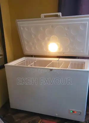 319 Thermocool Inverter Chest Freezer