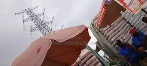 Dangote Cement 3x