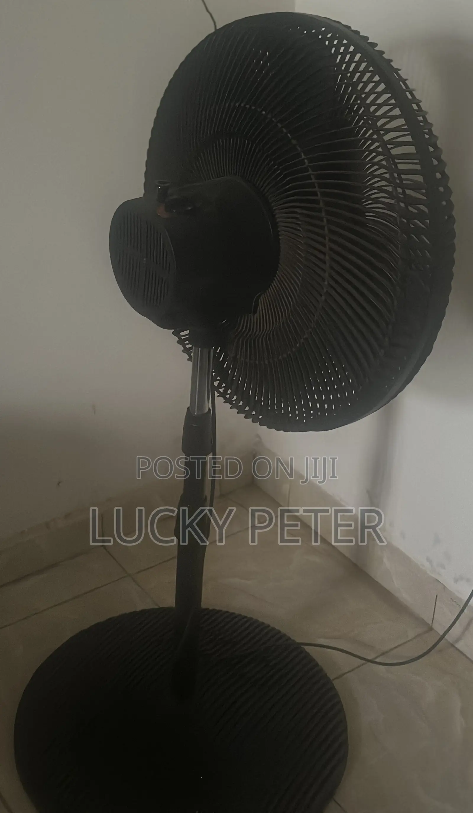 Standing Fan