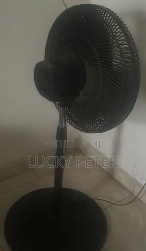 Standing Fan