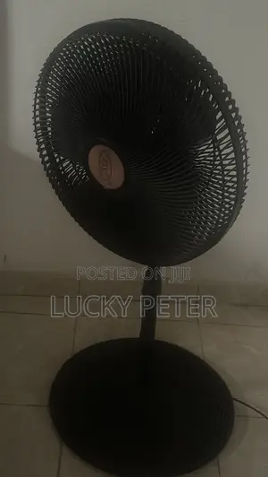 Standing Fan
