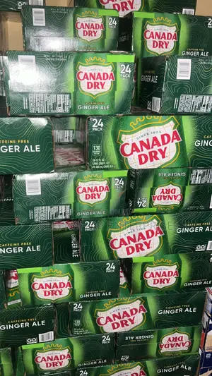 Canada Dry Ginger Ale X 24 Cans