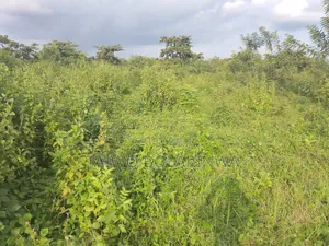 Land for Sales