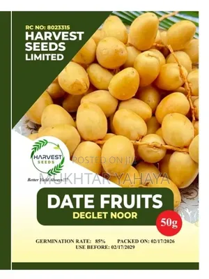 DATE FRUITS, Deglet Noor