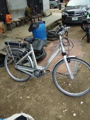 City Vogue Paddle Assistant Electric Bicycle