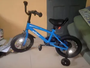 Automatic Bike