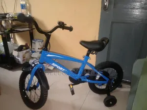 Automatic Bike