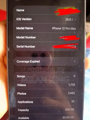 Apple iPhone 12 Pro Max 256 GB Blue