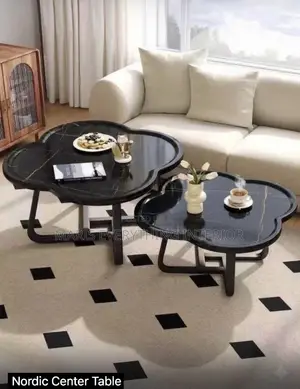 2in1 Simple Modern Center Table