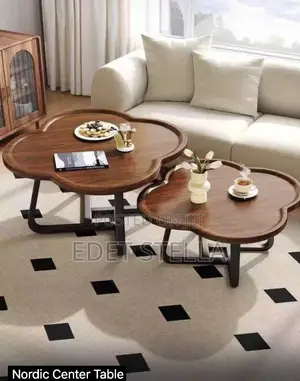 2in1 Simple Modern Center Table