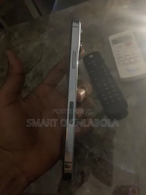 Apple iPhone 13 Pro Max 128 GB Gray