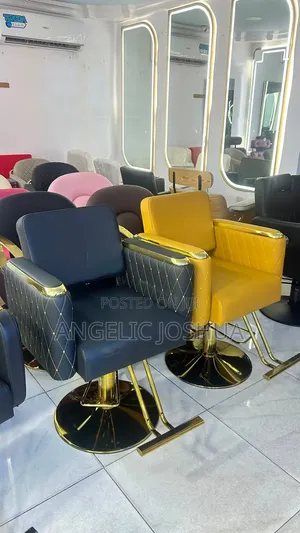 Multi Colour Barber Chair