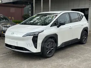 New Aion Y 2026 White