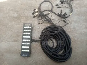 PEAVEY Snake Cable(audio Link)UK Used 24 Channel