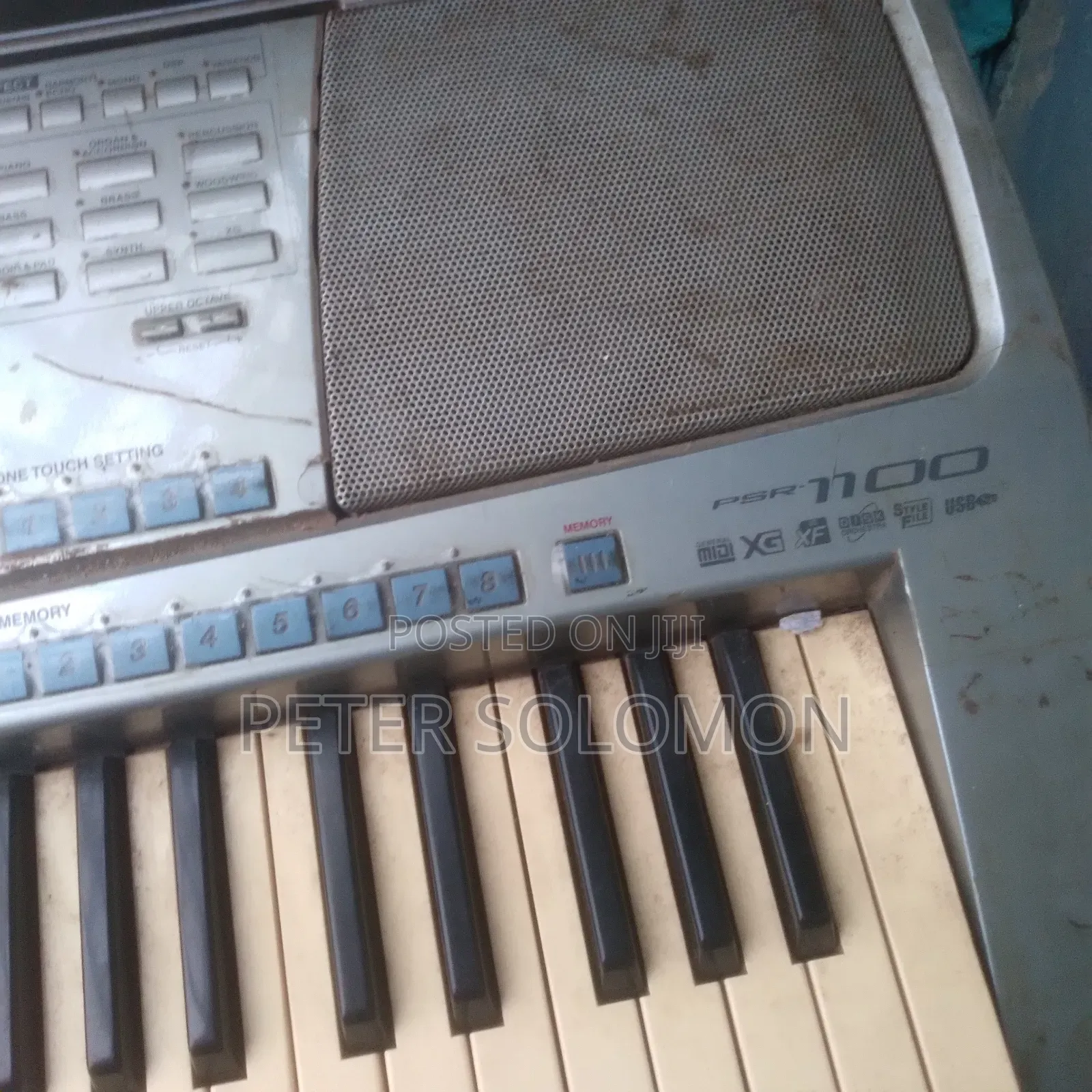 Musical Instrument