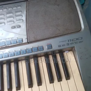 Musical Instrument