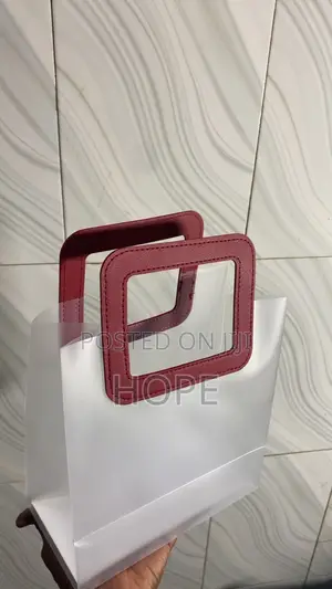 Transparent Gift Bags