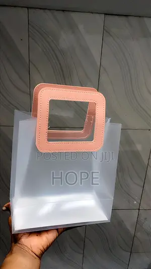 Transparent Gift Bags