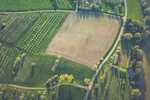 Farmland for Sale