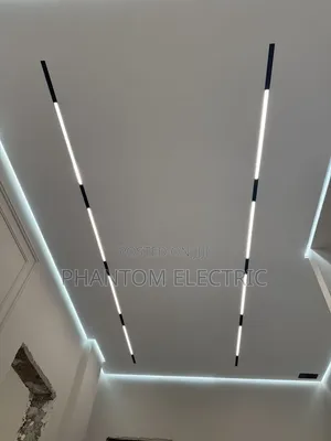 48volts Magnetic Track Flood Lights 0071
