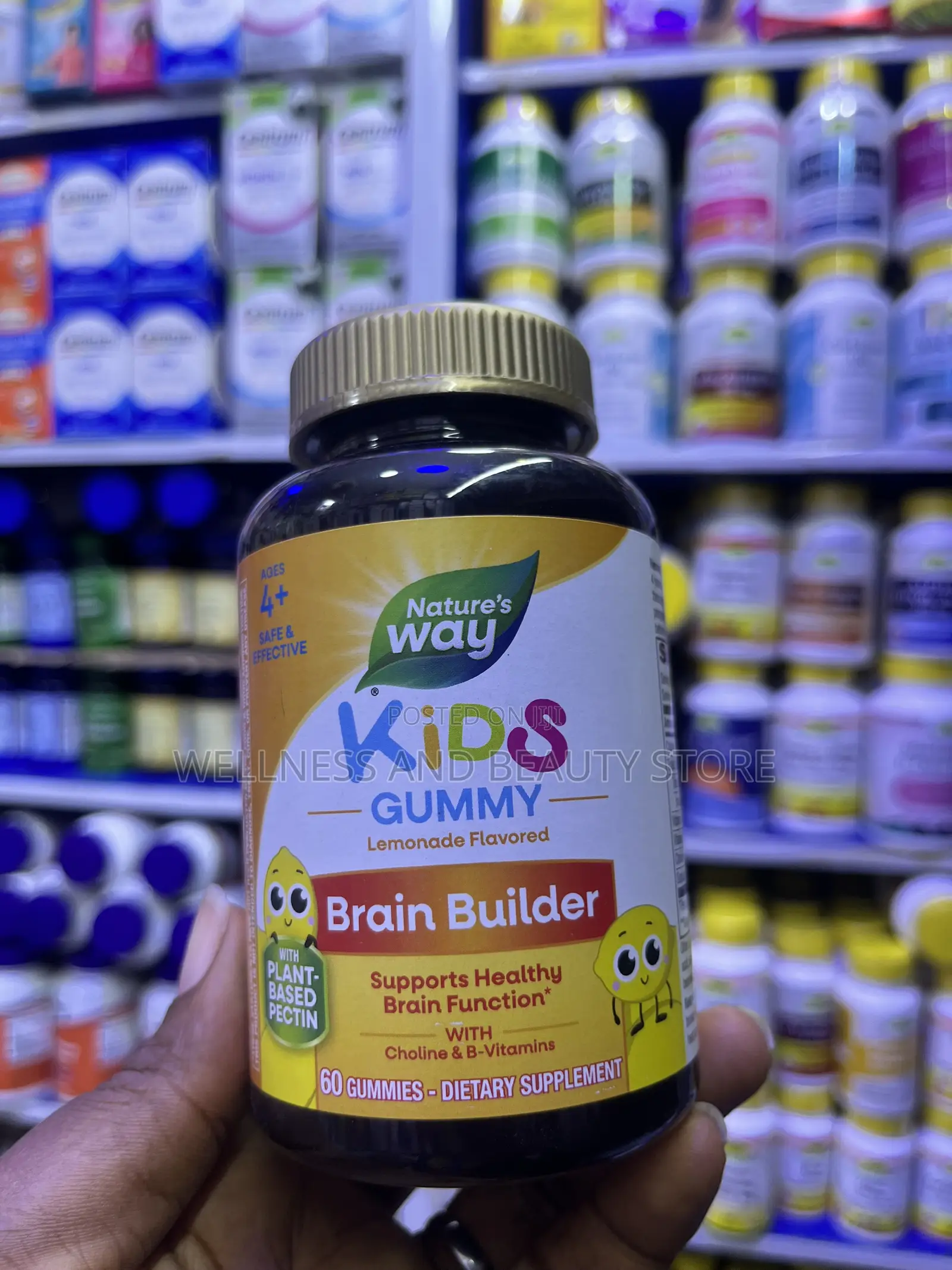 Nature’s Way Brain Builder / Brain Health Memory Support Supplement