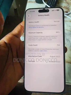 Apple iPhone 15 Pro Max 256 GB Silver