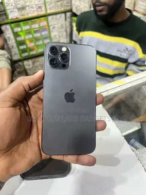 Apple iPhone 12 Pro Max 128 GB Gray