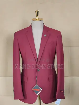 Wine Dino Man Suit