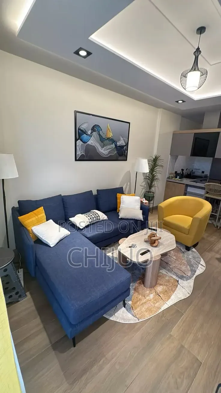 Nice and Affordable Sofa Chairs