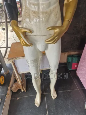Male Mannequin
