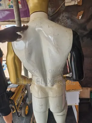 Male Mannequin