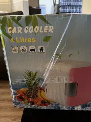 Mini Picnic Cooler