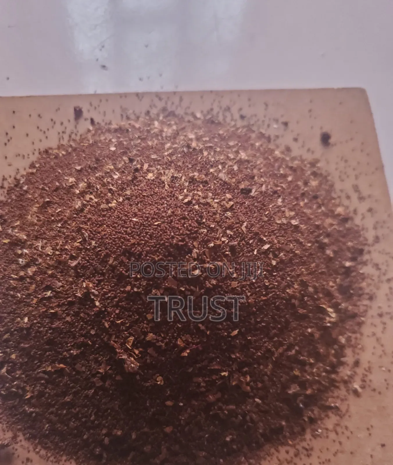 Tobacco Seed
