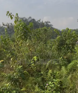 Full Plot of Land