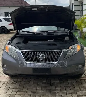 Lexus RX 2012 Gray
